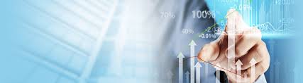 Tax & Business Insights